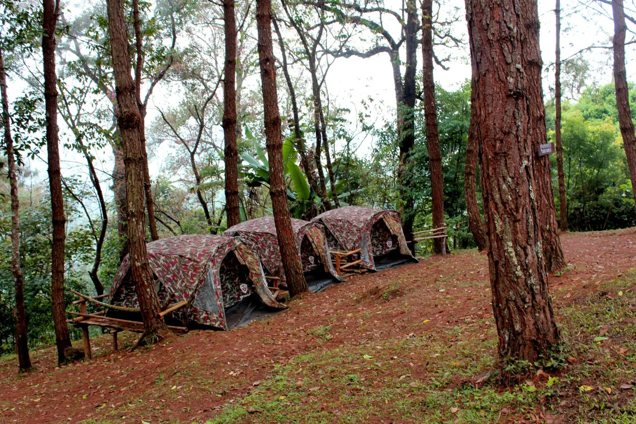 Adventure Camping: Complete Guide