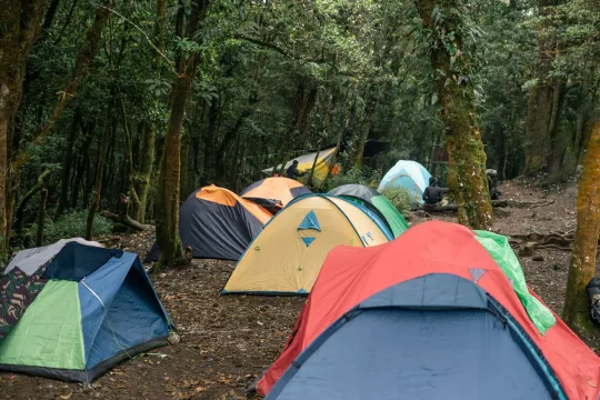 Best 4 Person Tent (2026 Buyer's Guide)