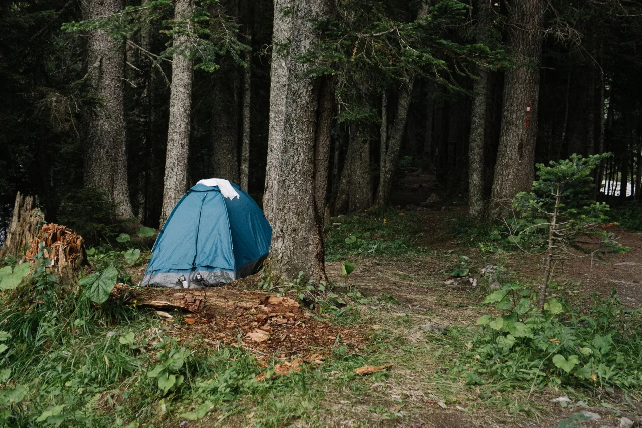 Best Camping Area Near Me: Find and Compare