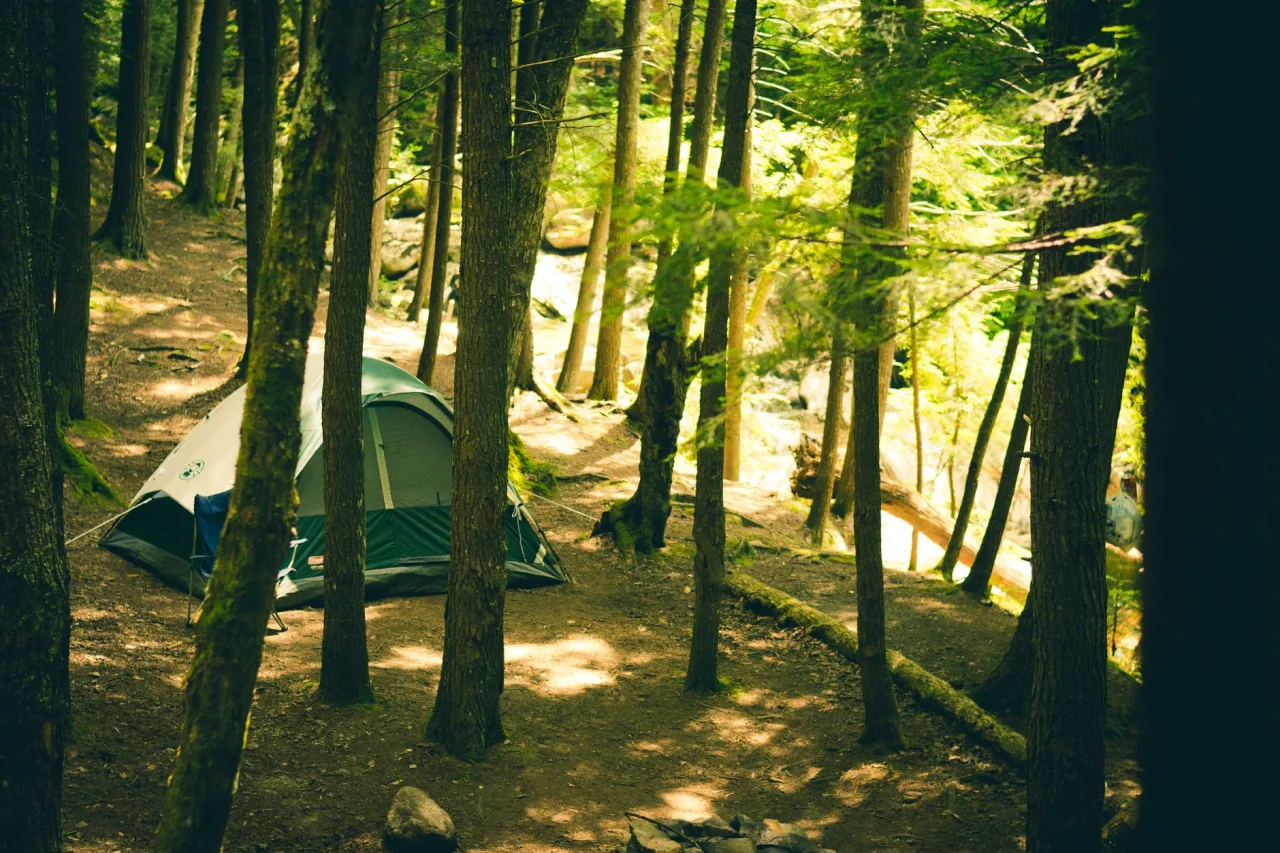 Best Camping Area Near Me: Find and Compare