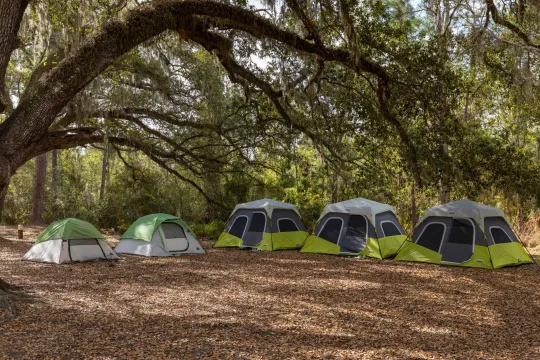 Best Camping Tent 2026: Family Picks
