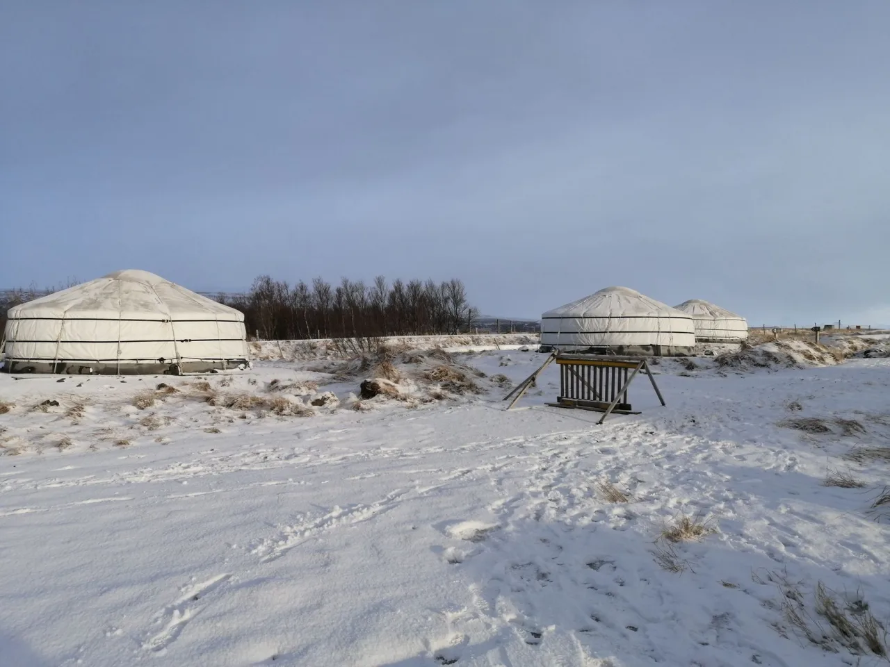 Best Yurt Tent in 2026: Picks by Budget