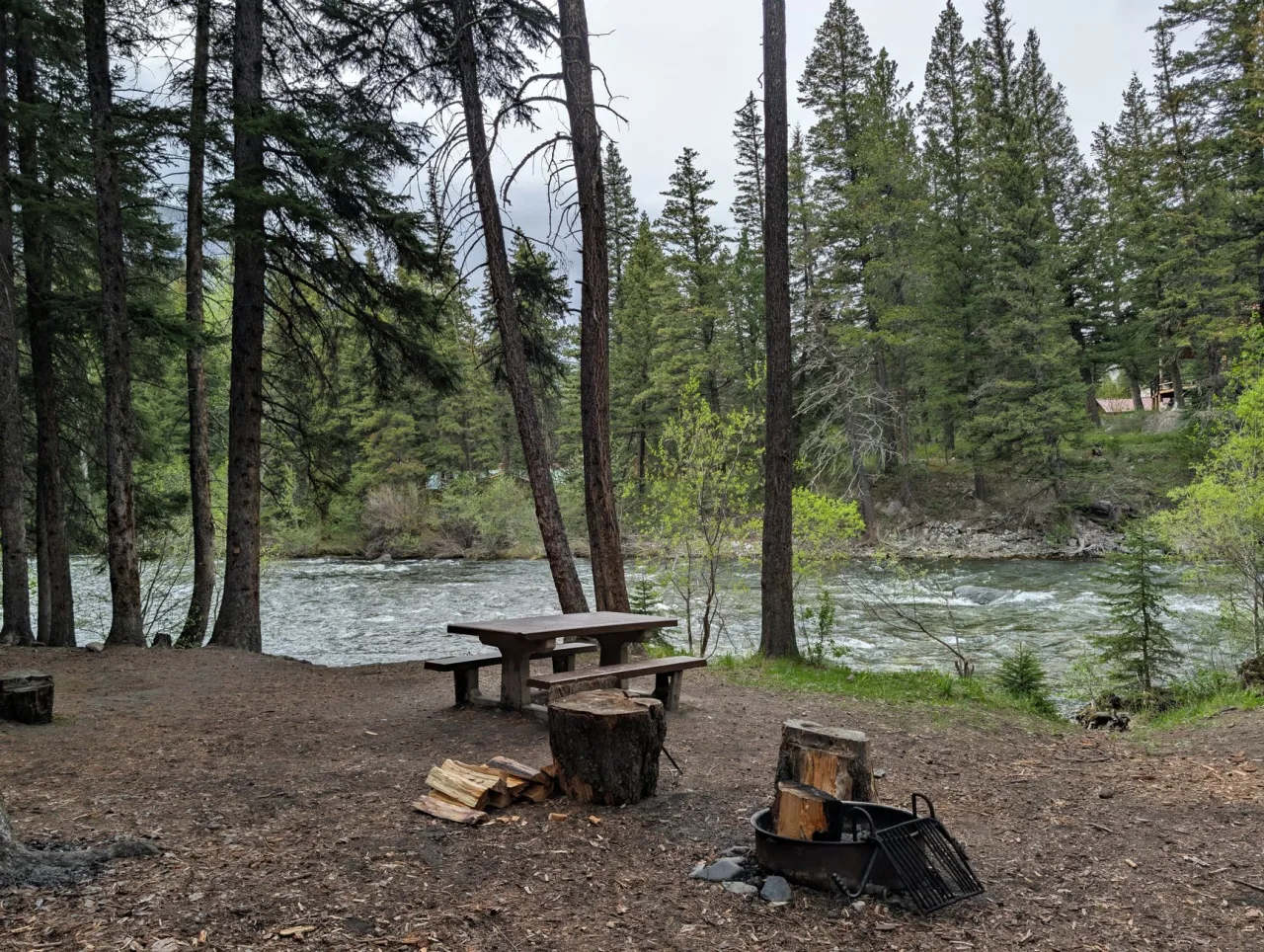 Big Bear Campgrounds Guide