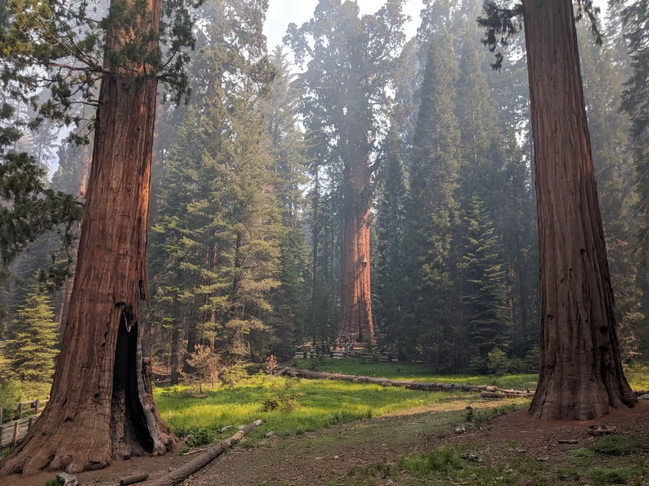 Big Trees State Park: Best Spots, Seasons