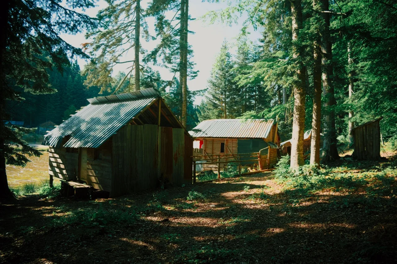 Cabin Camping Near Me: How to Choose