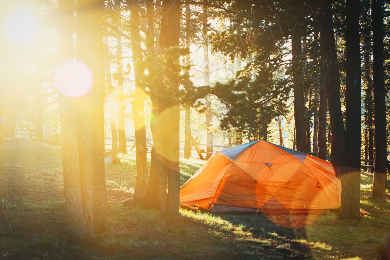 Camp RV Near Me: Find and Compare the Best