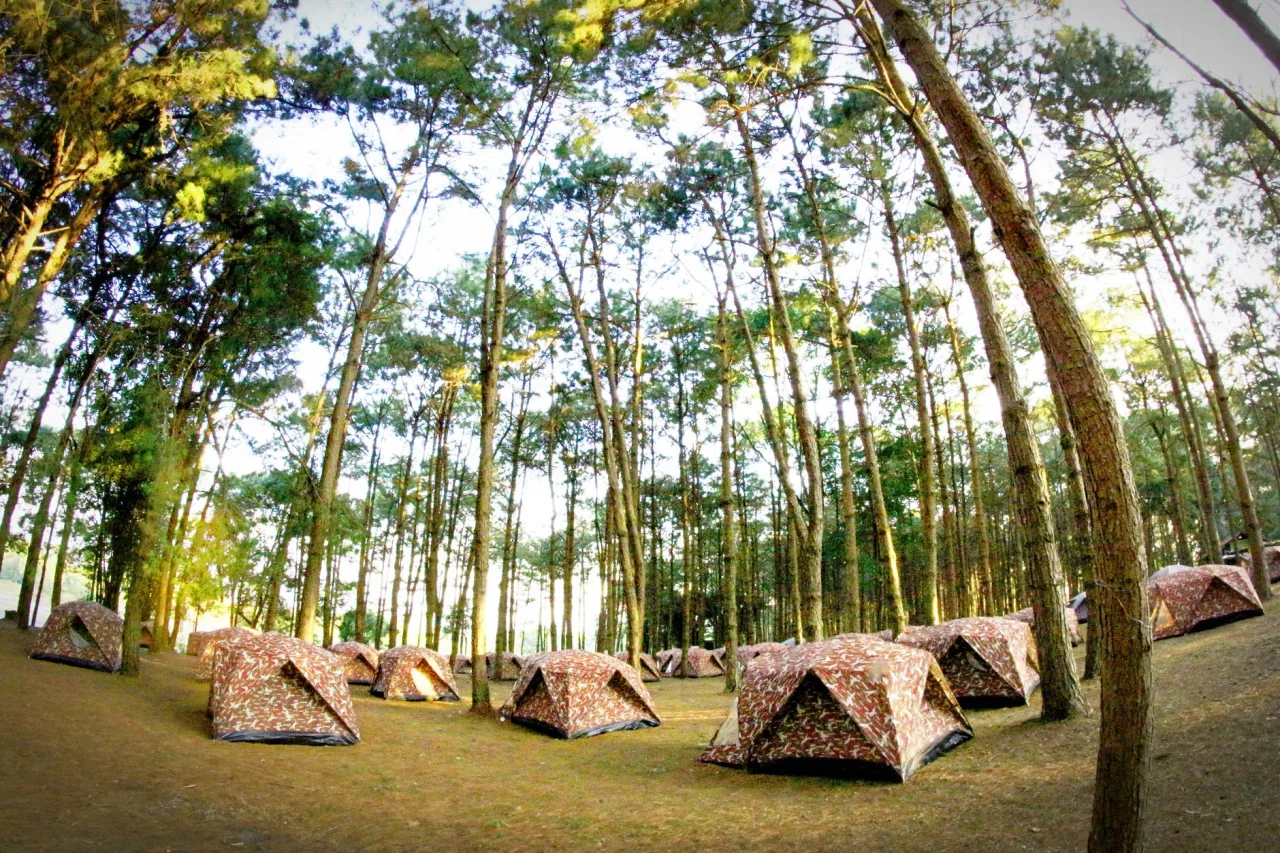 Camping Near Me: Find and Compare Spots