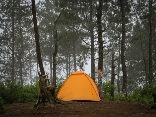 Camping Sites: The Complete Guide