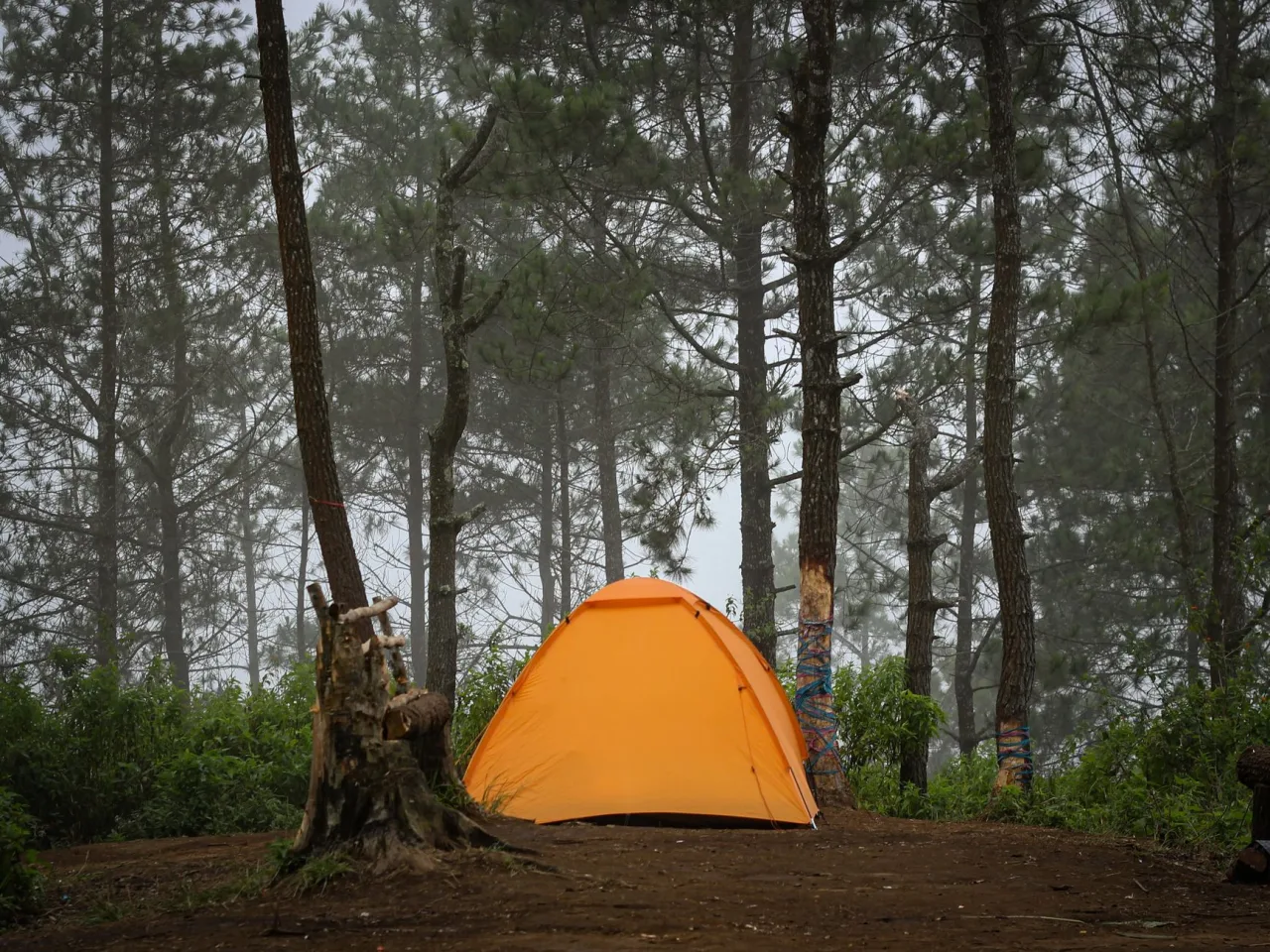 Camping Sites: The Complete Guide