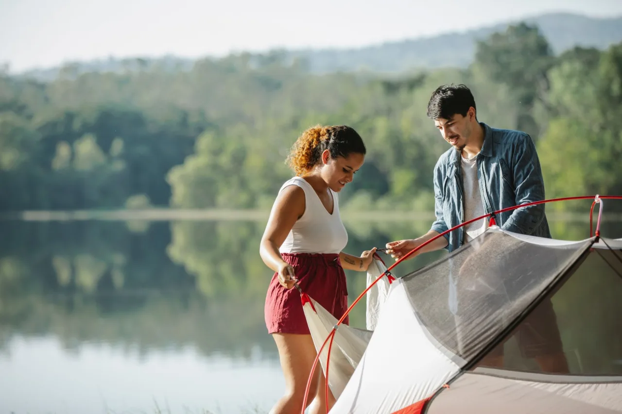 New Forest Campsites: How to Choose