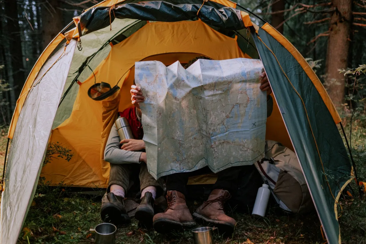 New Forest Campsites: How to Choose