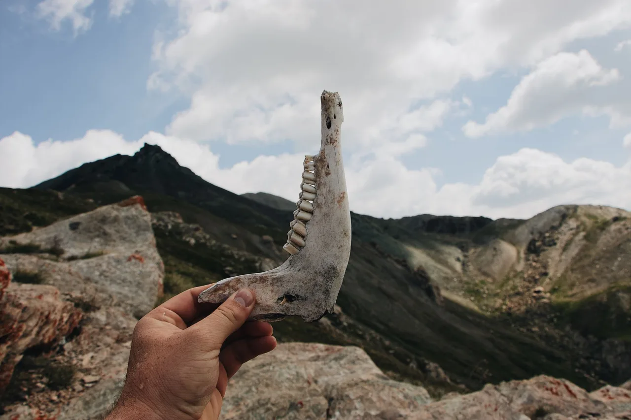 Cb Smith Campground: Find and Compare