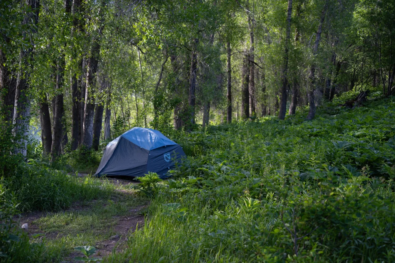 Cb Smith Campground: Find and Compare