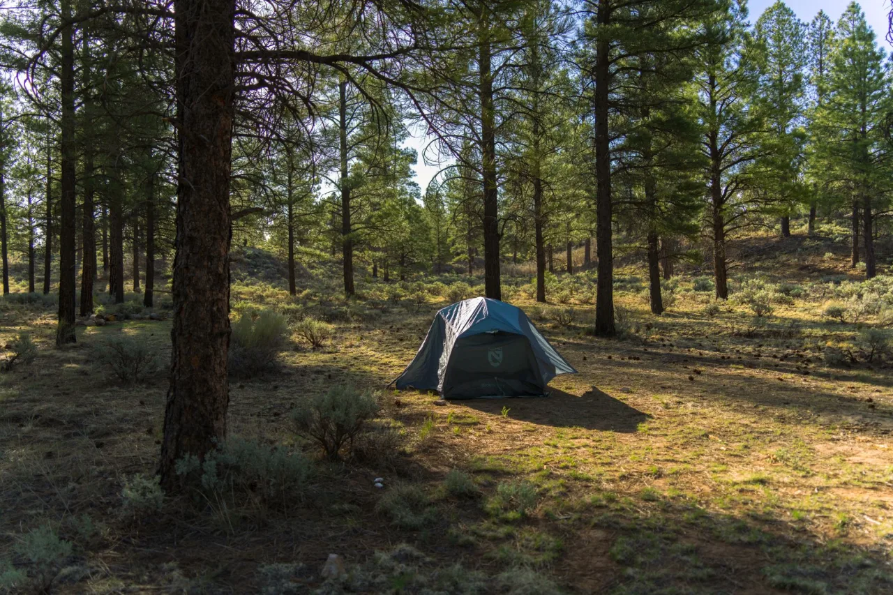 Dispersed Camping Near Me: Find and Compare