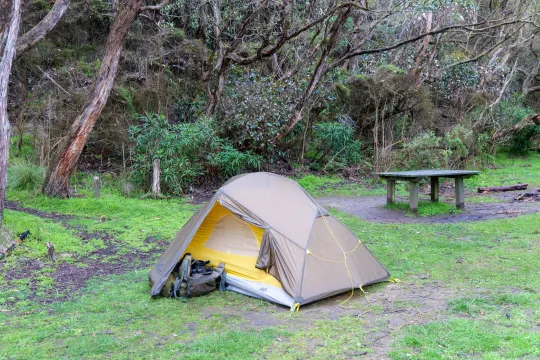 Great Camping Spots Near Me