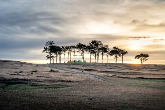 Highlands End Campsite: Find and Compare