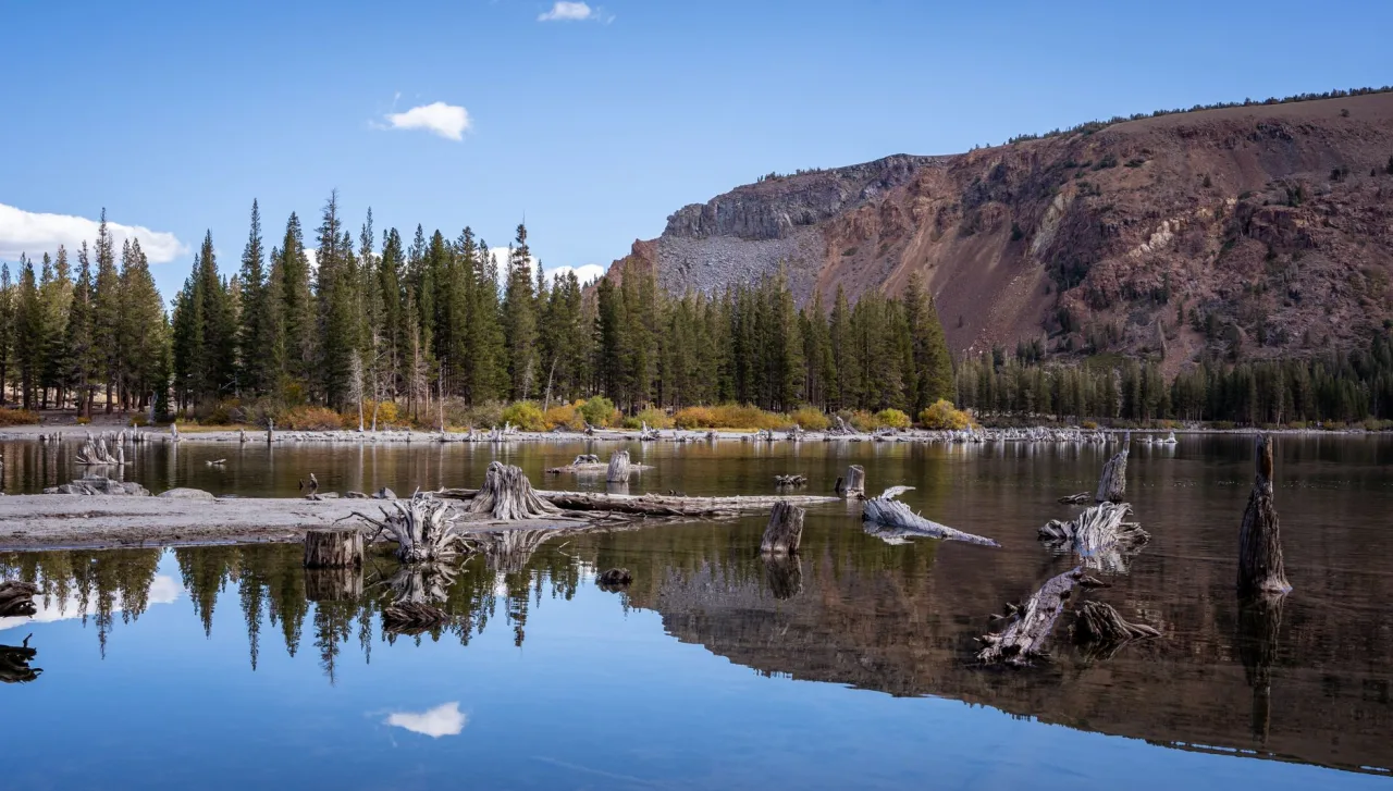 Mammoth Campground: How to Choose