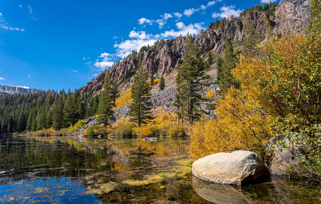 Mammoth Campground: How to Choose