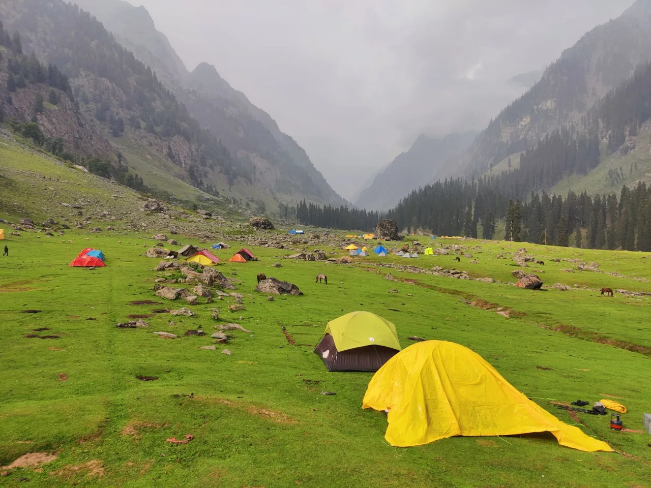 National Park Camping Guide