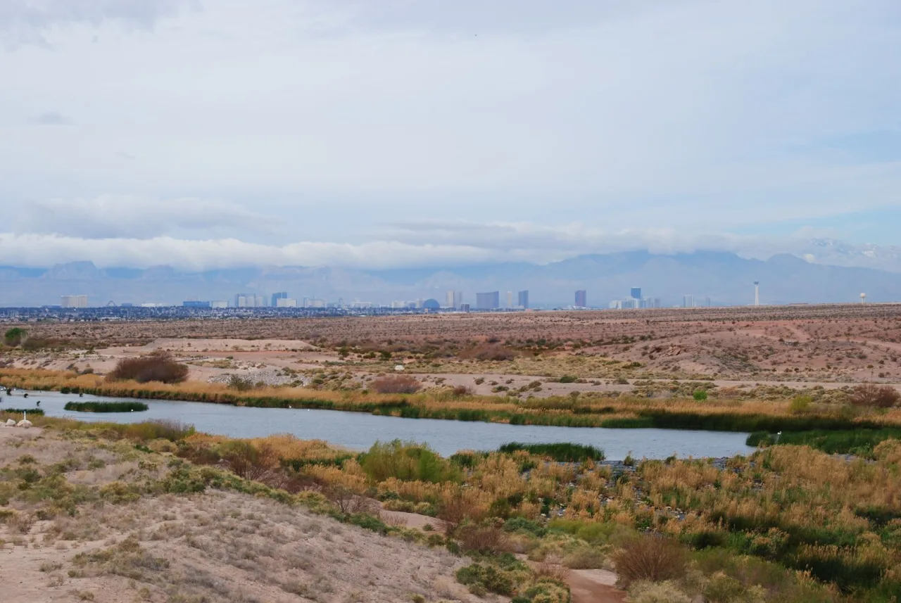 Oasis Las Vegas RV Resort
