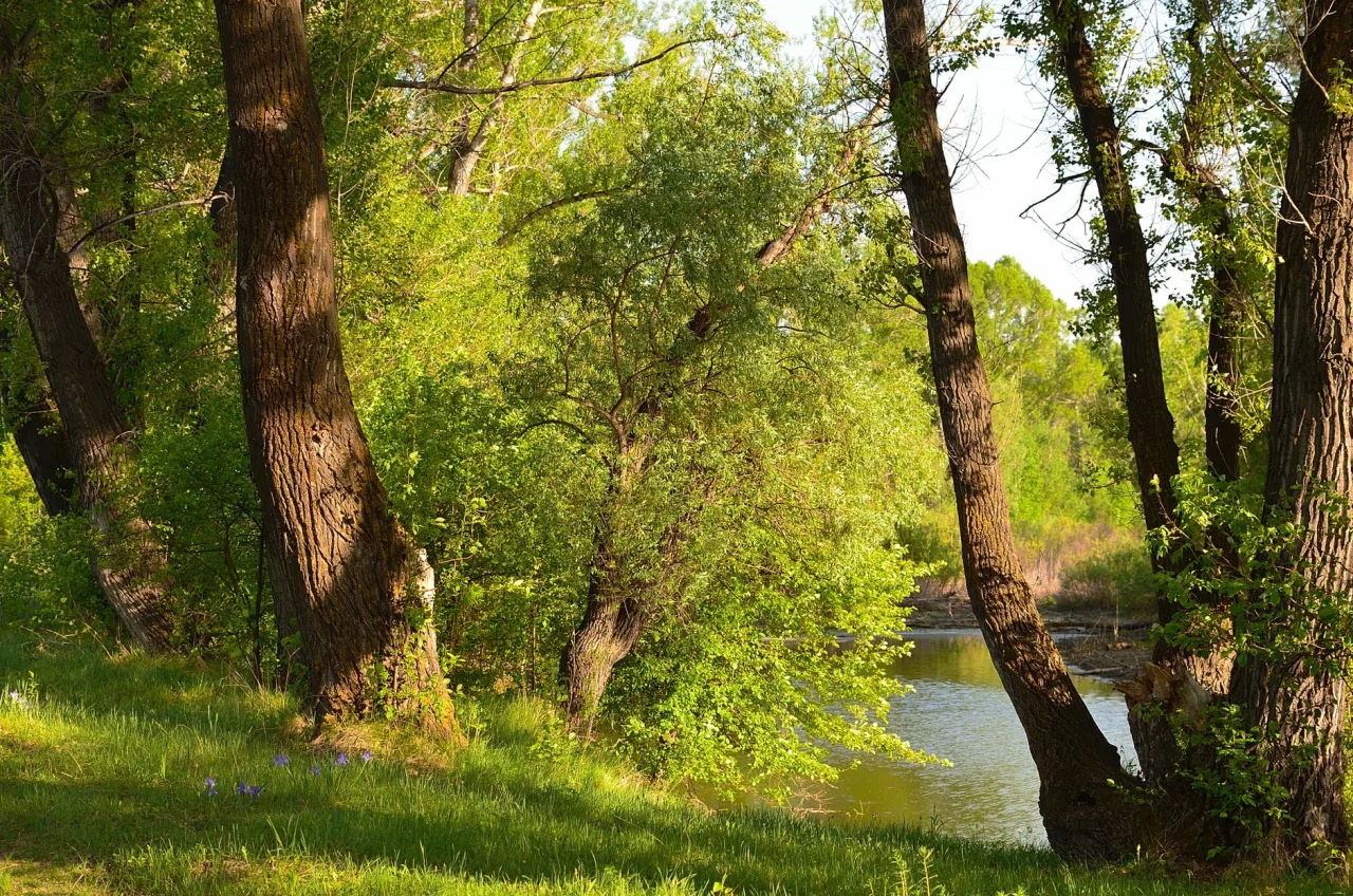 Riverbend Campground: Find and Compare