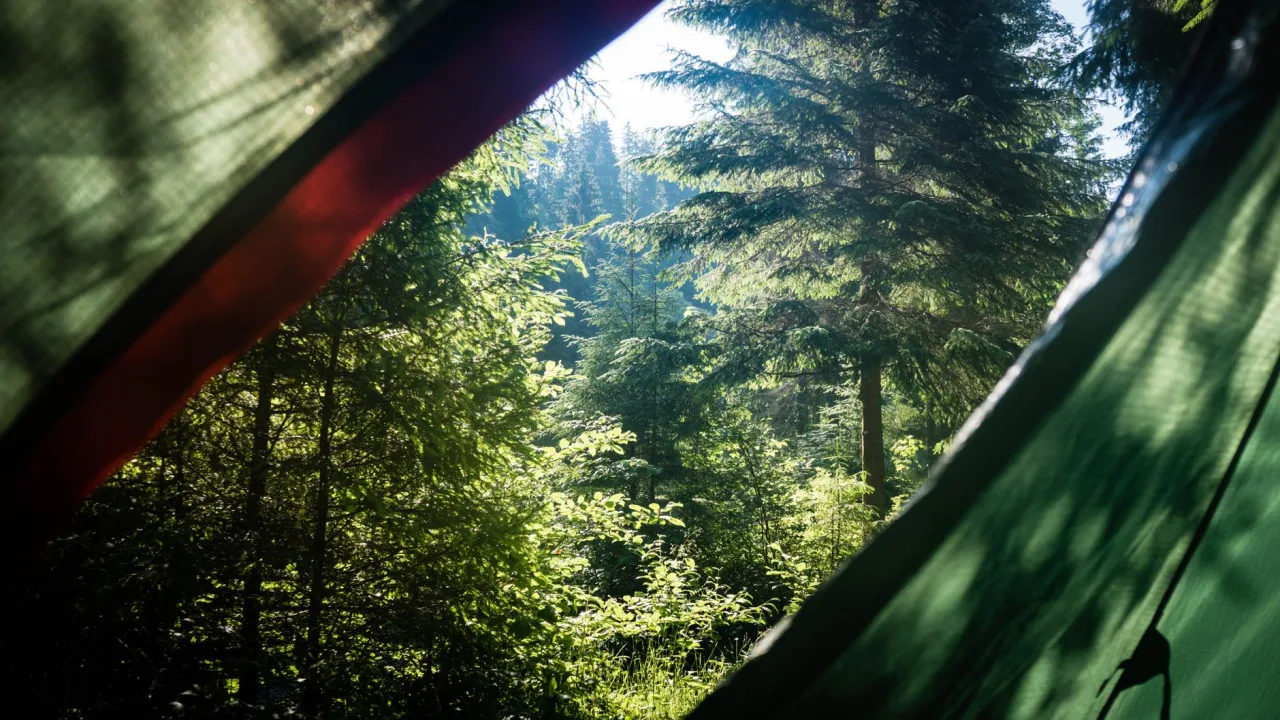 RV Parks Close to Me: Find One Tonight