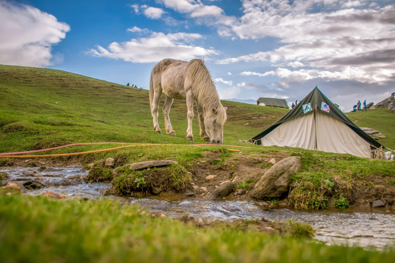 White Horse Hill Camping