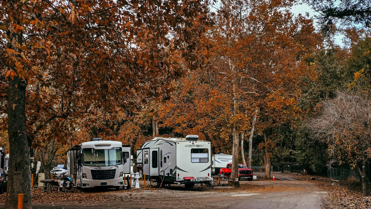 Yogi Bear Campground: How to Choose