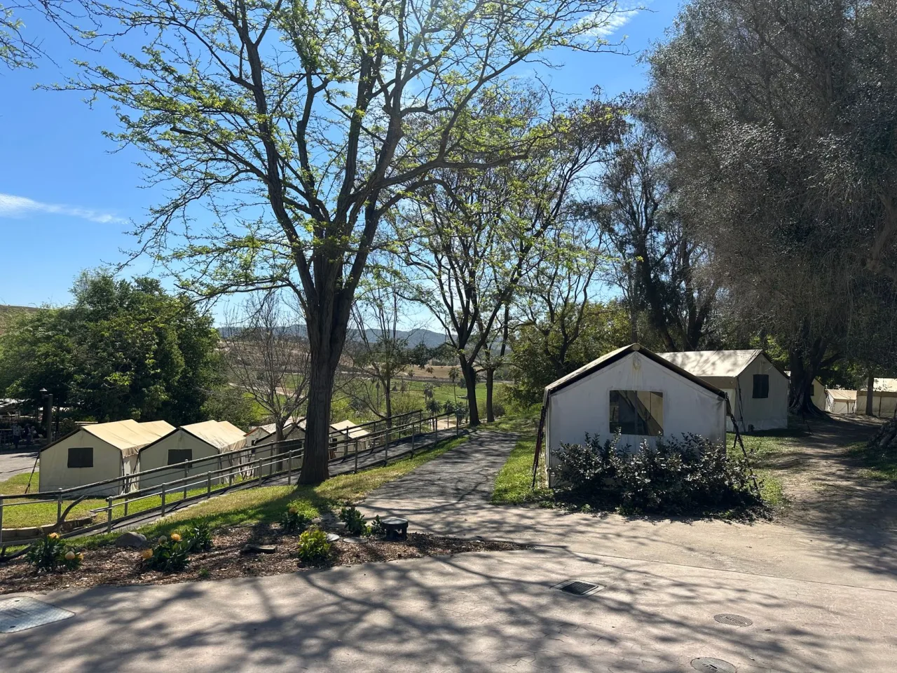 Yogi Bear Campground: How to Choose